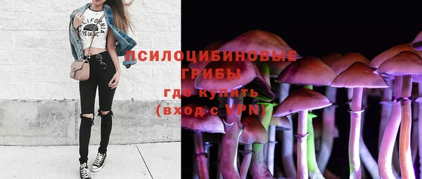 метадон Армянск